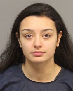 Mugshots from the county jail: 02-25-2019